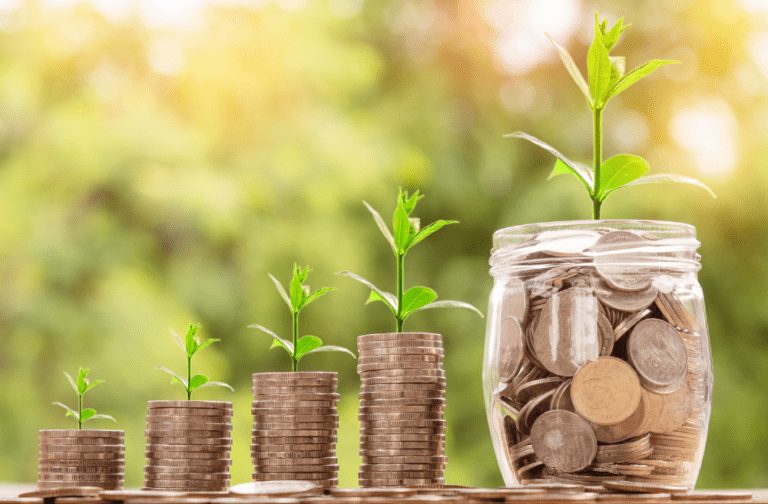 Semilla Expande: ¡Ya puedes postular al fondo concursable!