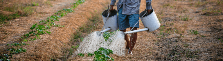 Emprender en comunidades rurales: Desafíos y oportunidades