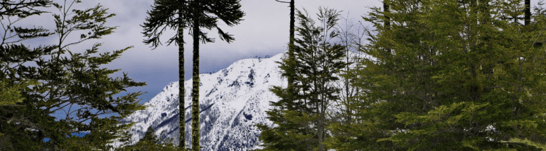 Cómo emprender con el turismo en Chile