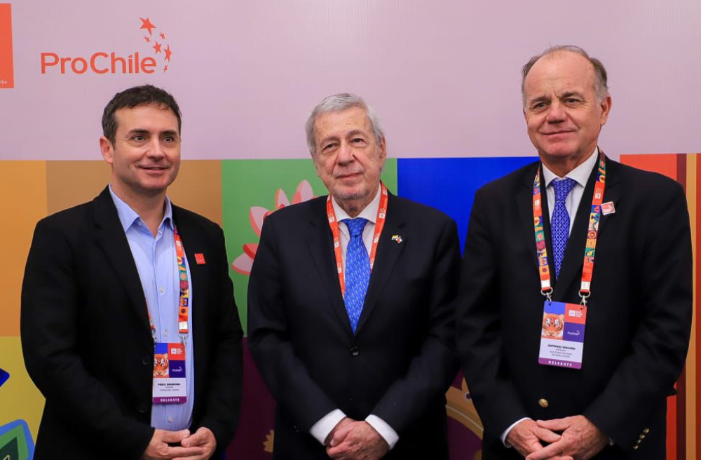 Chile potencia el salmón de exportación en el mercado indio