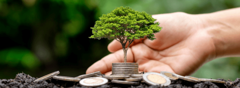 Sostenibilidad en las pymes chilenas: Clave para el éxito